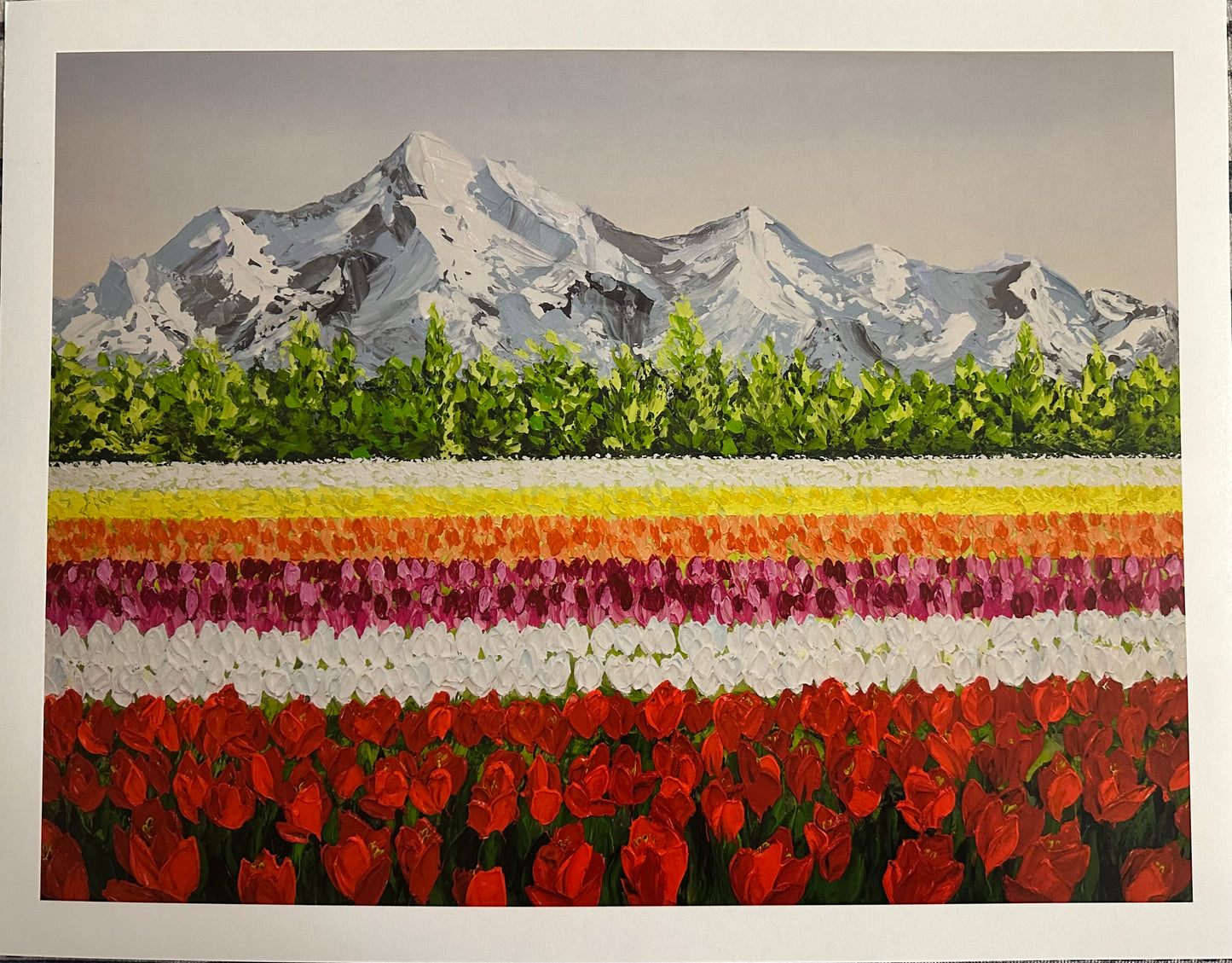 Tulip Affair | Limited Prints