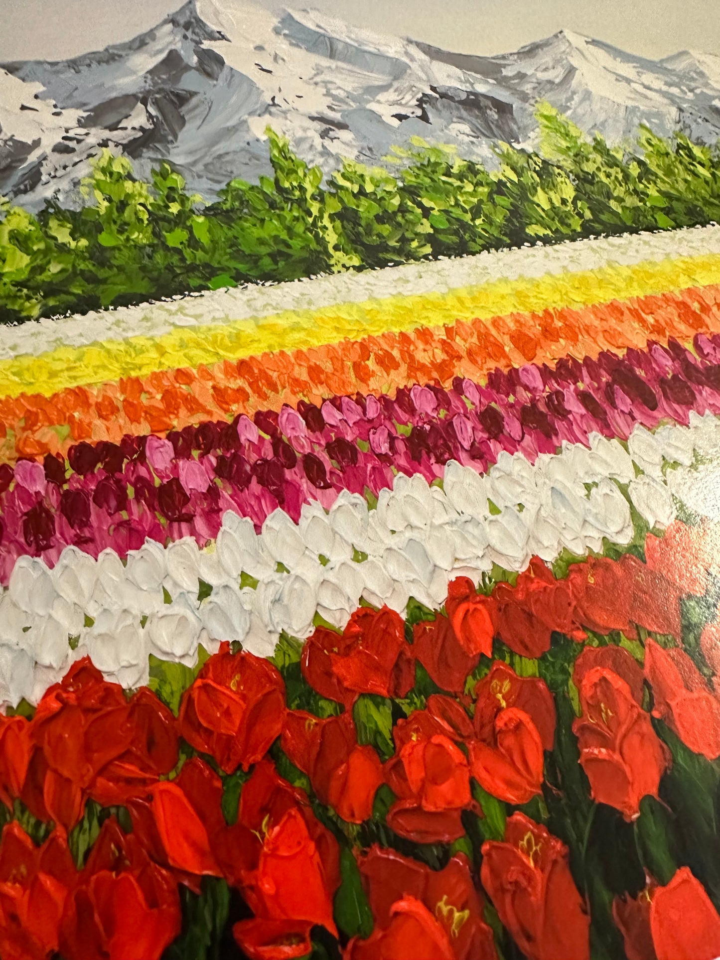 Tulip Affair | Limited Prints
