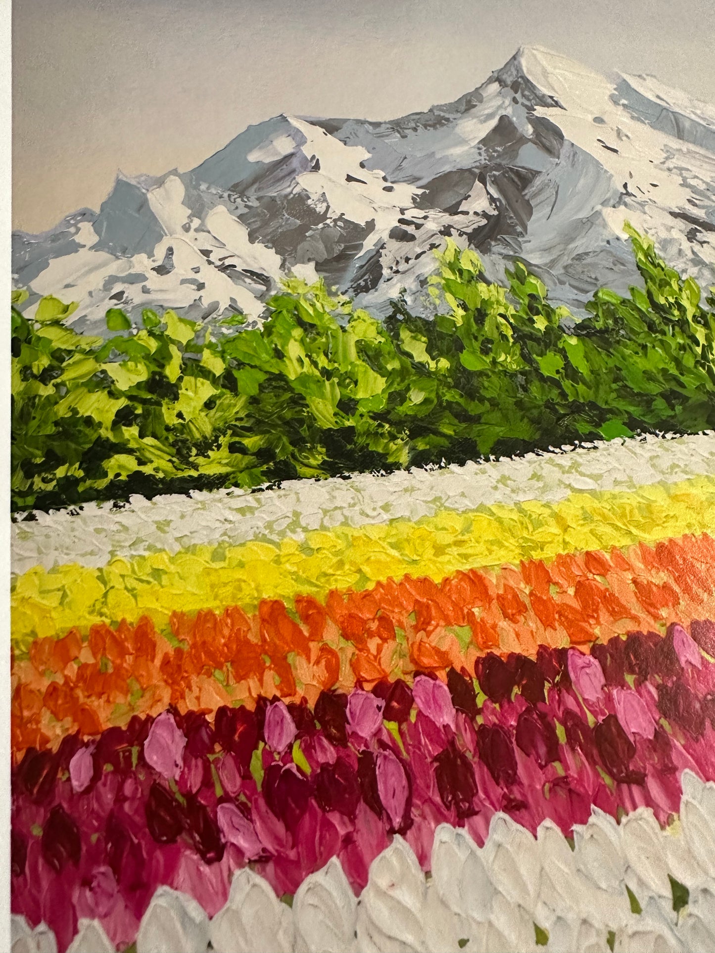 Tulip Affair | Limited Prints