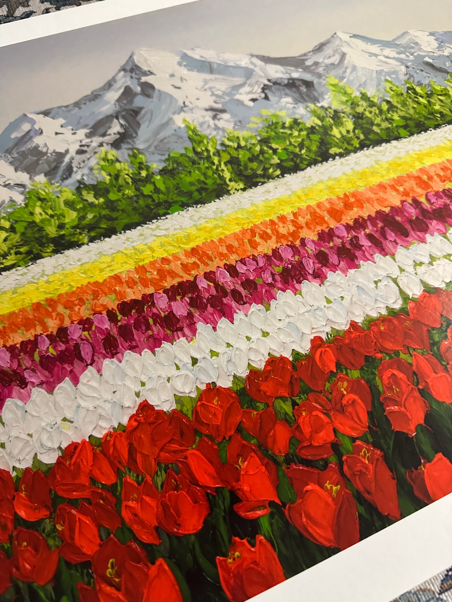 Tulip Affair | Limited Prints