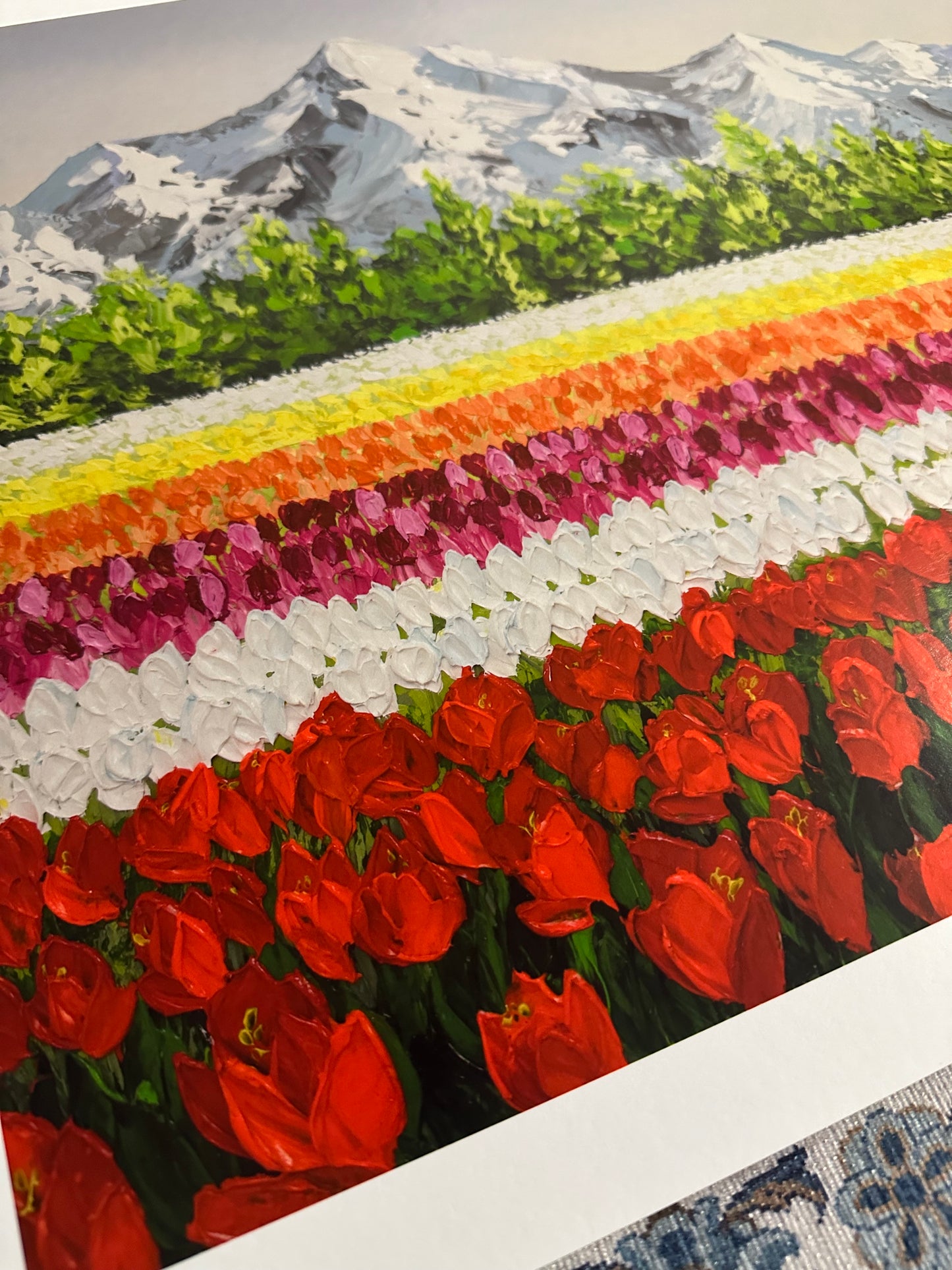 Tulip Affair | Limited Prints