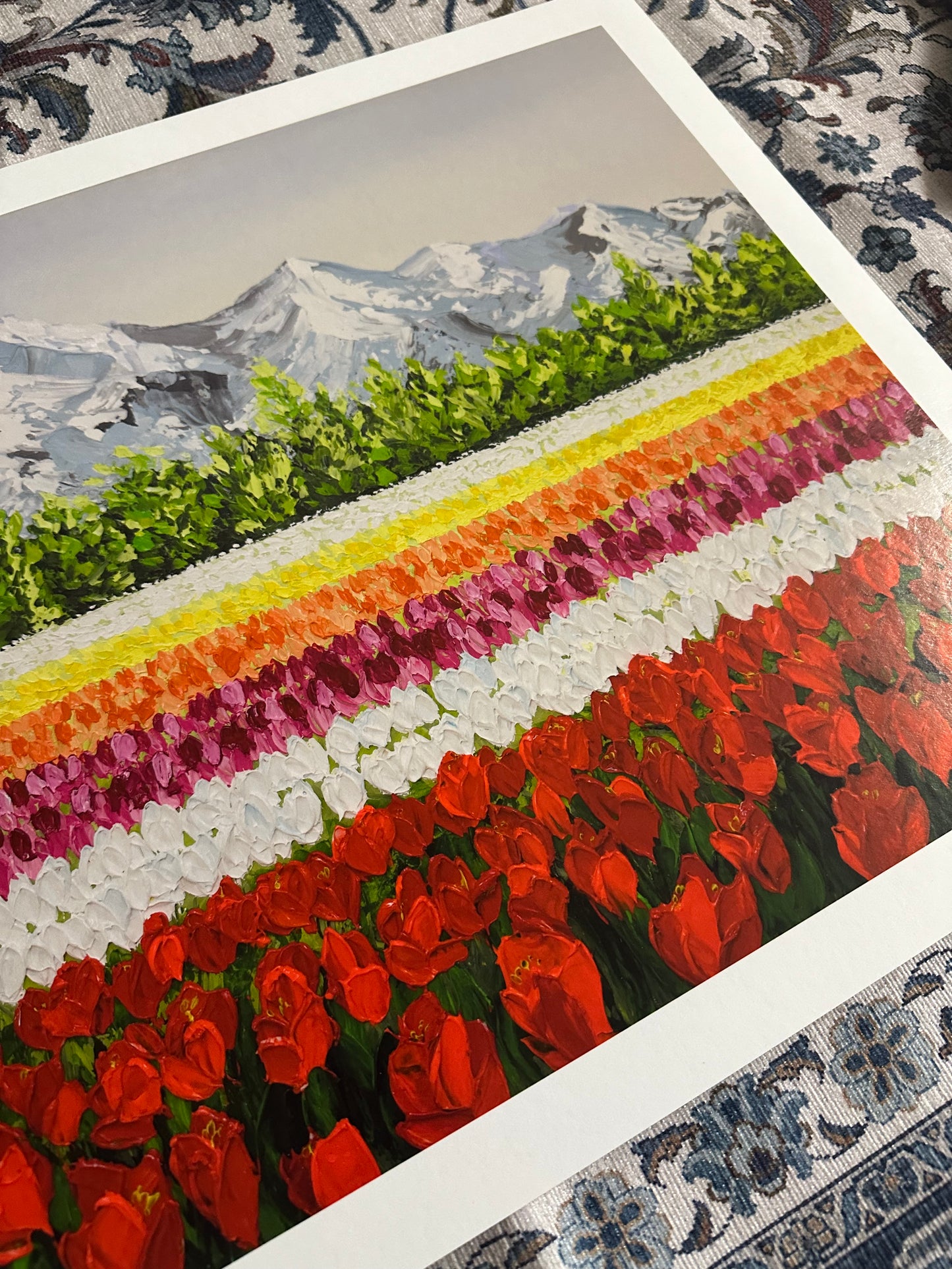 Tulip Affair | Limited Prints