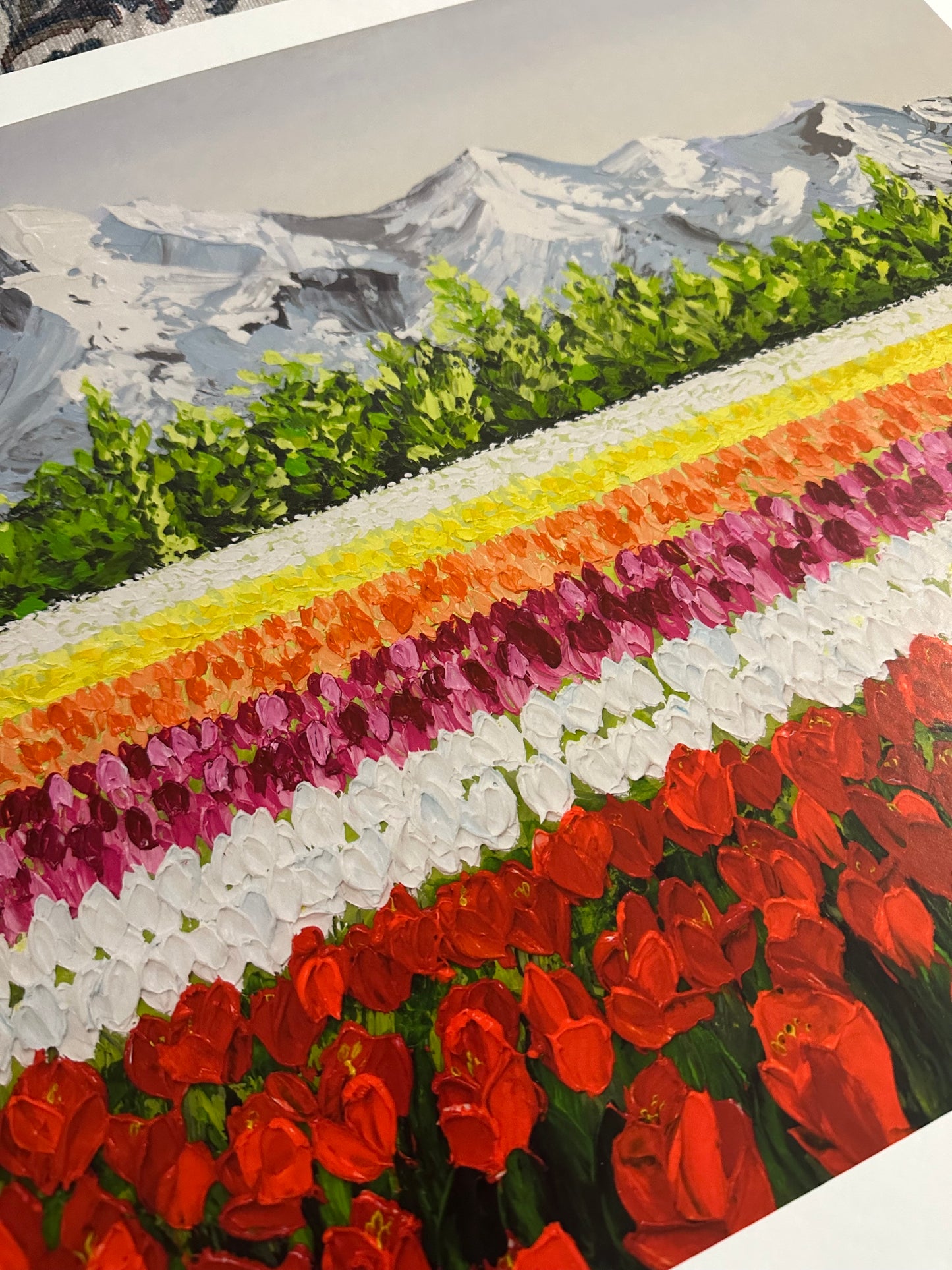 Tulip Affair | Limited Prints