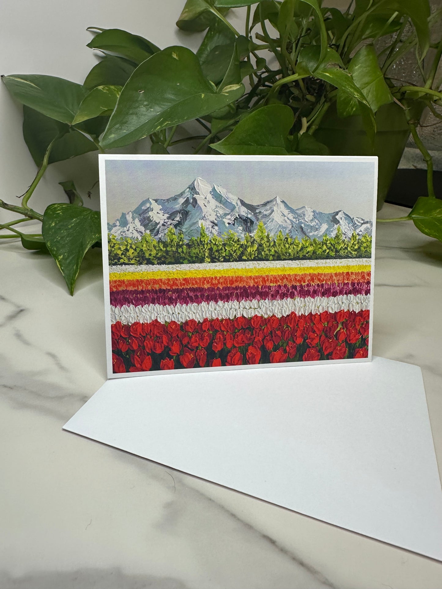 Greeting Card Set of 4 | Blank Cards