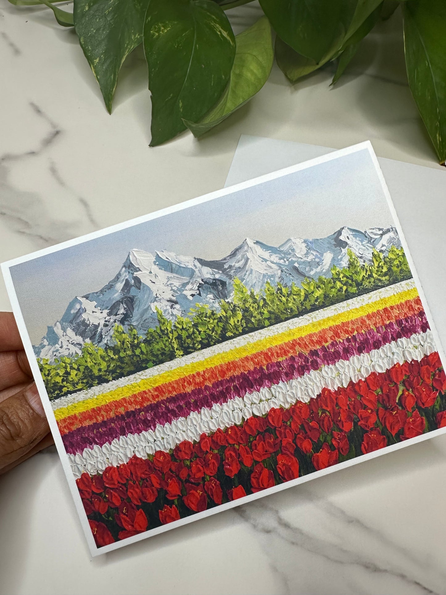 Greeting Card Set of 4 | Blank Cards