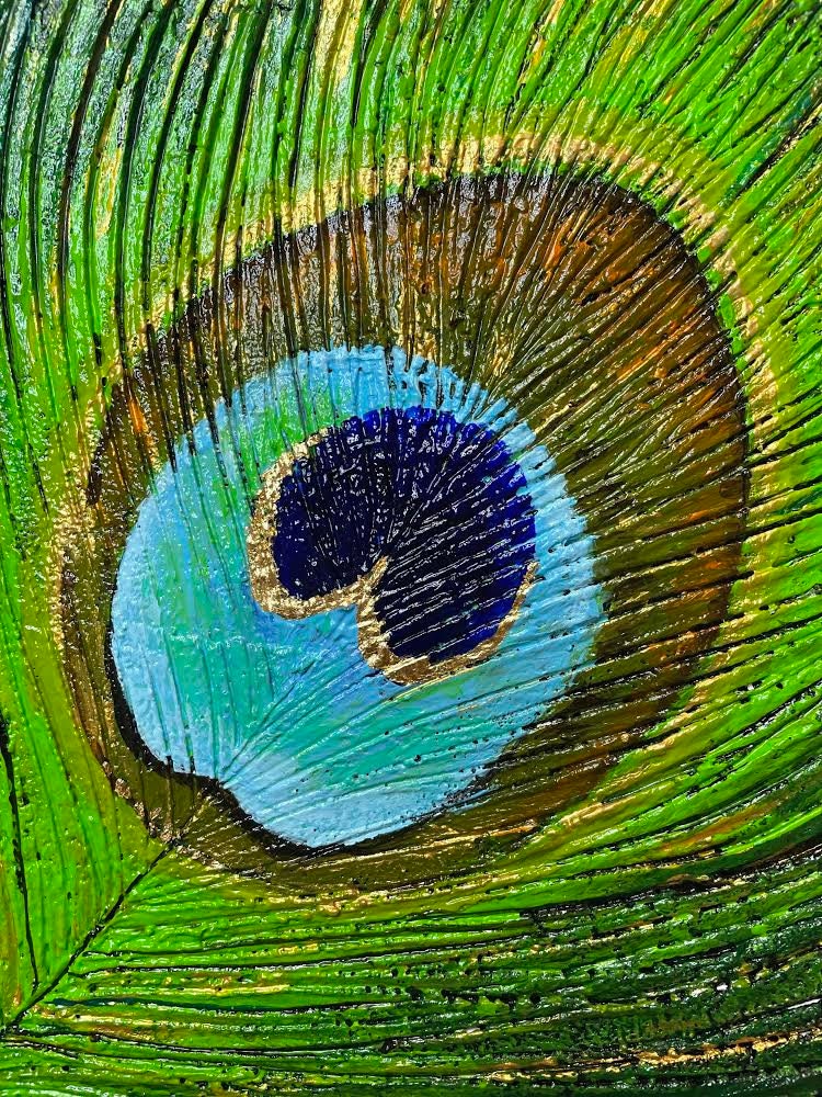 Beautiful Blue Green peacock feather