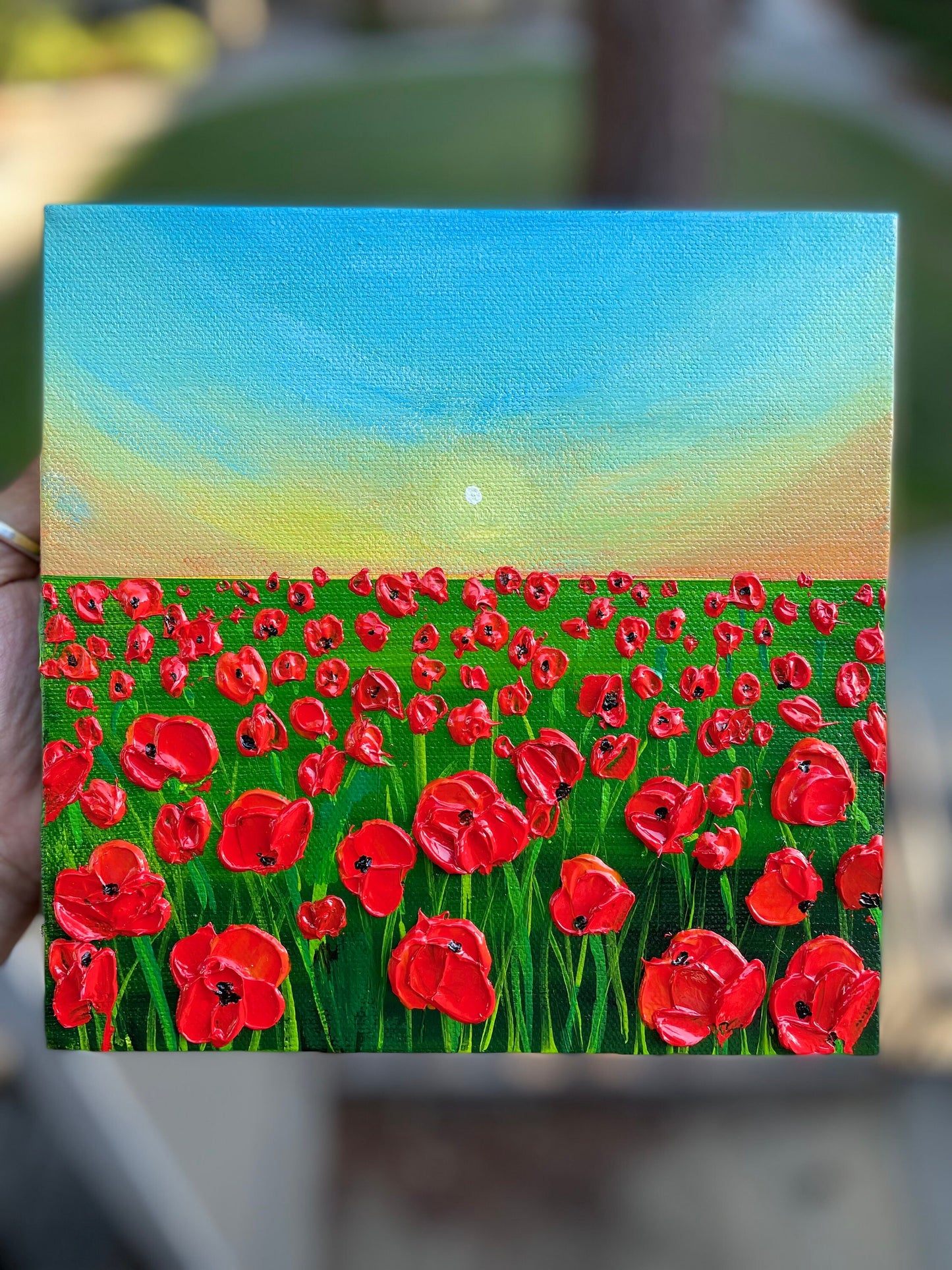 Red poppies field